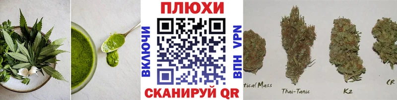 Cannafood конопля  Новосиль 