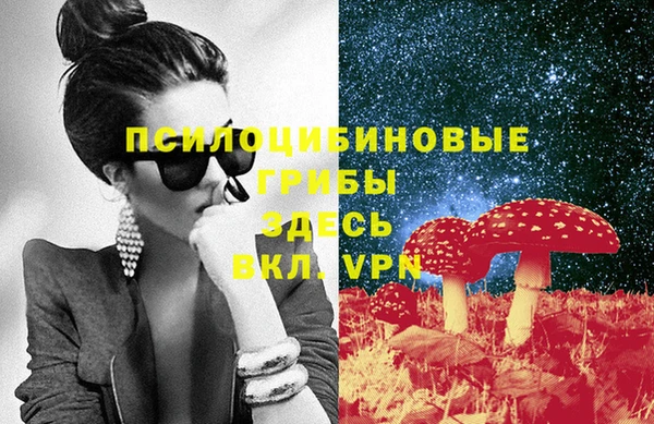 крисы Арсеньев