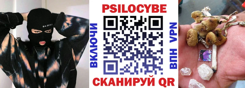 Псилоцибиновые грибы прущие грибы  купить закладку  Новосиль 